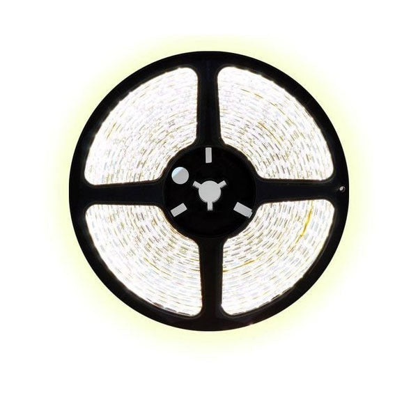 40 meter koud wit led strip - 120Leds/m - 12V - 2835 40 meter koud wit led strip - 120Leds/m - 12V - 2835